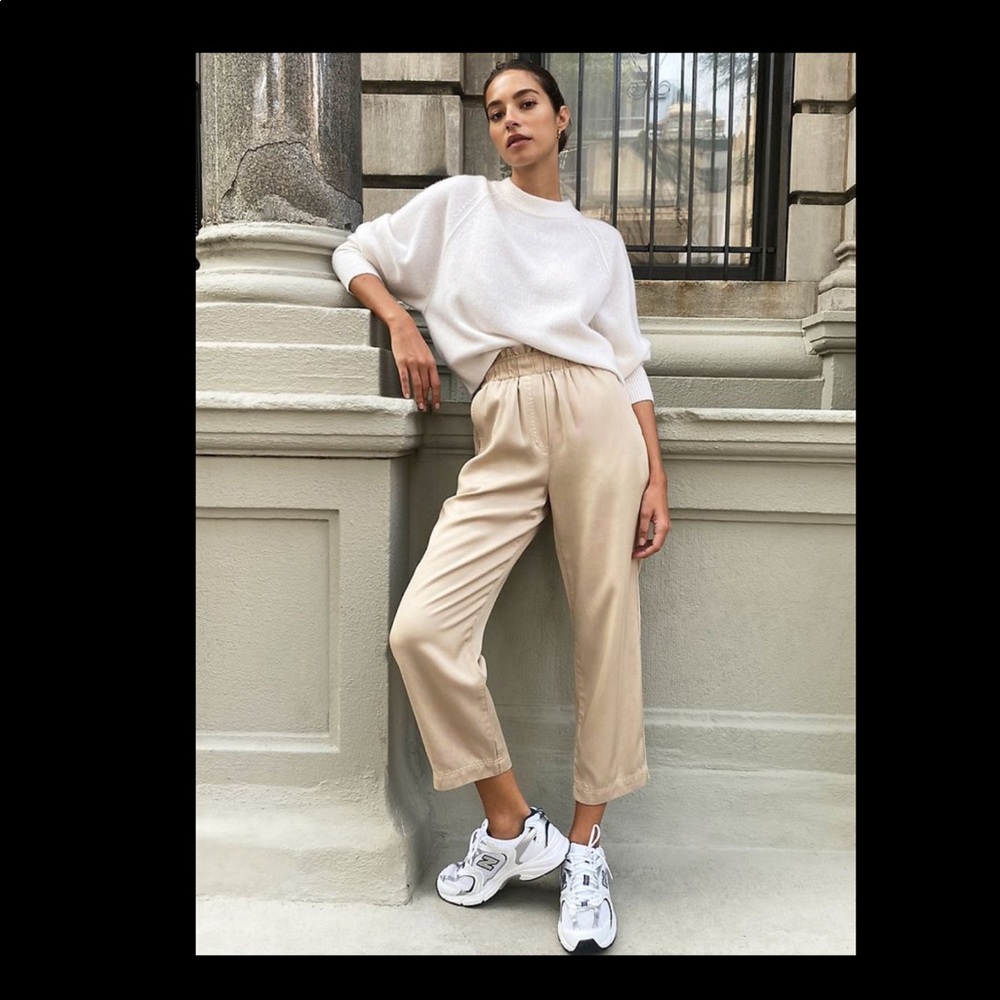 🆕 Aritzia The Group by Babaton Calipso Pants in beige sierra L